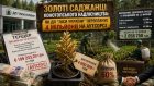 Золоті саджанці Конотопського надлісництва: як ДП «Ліси України» переплачує 4 мільйони на аутсорсі